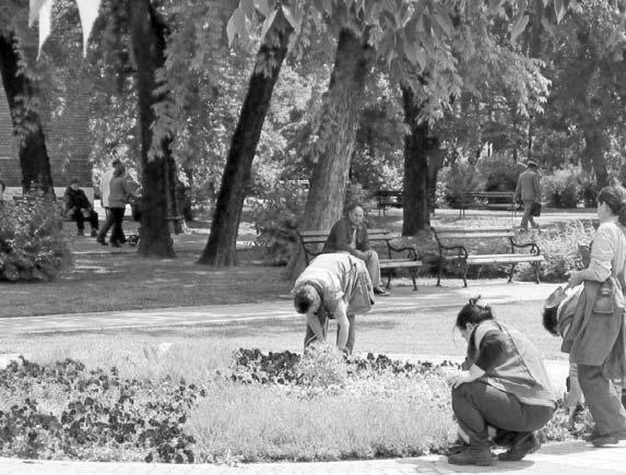 EКОНОМИЈА МИЛАНА ВЕЈИН, ДИПЛОМИРАНИ ИНЖЕЊЕР ПЕЈЗАЖНЕ АРХИТЕКТУРЕ ЦВЕТНЕ ЛЕЈЕ ИЗ ЊЕНЕ БЕЛЕЖНИЦЕ Да ли сте се икада запитали ко одлучује о томе како ће изгледати цветне леје у центру града, које врста