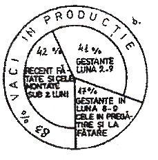 stări fiziologice a efectivului matcă pentru obţinerea unor producţii mari, uniforme în întreaga durată a anului Structurarea fiziologică făcută