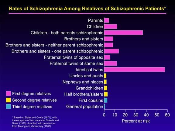 http://schizophrenia.com/ Debby Tsuang, M.