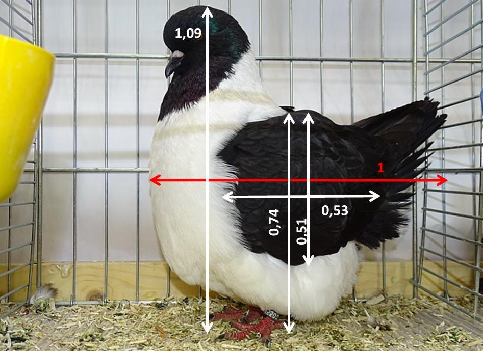 Egy másik strasszer, amely a standard