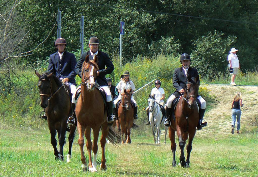 Ukrep 1.2 / 1.2 Intézkedés / Mjera 1. 2 / Measure 1.2 ture na području Zalske doline, održavanje tečajeva iz konjičkih zanimanja za učenike osnovnih škola u Zalalövőu i Őriszentpéteru.