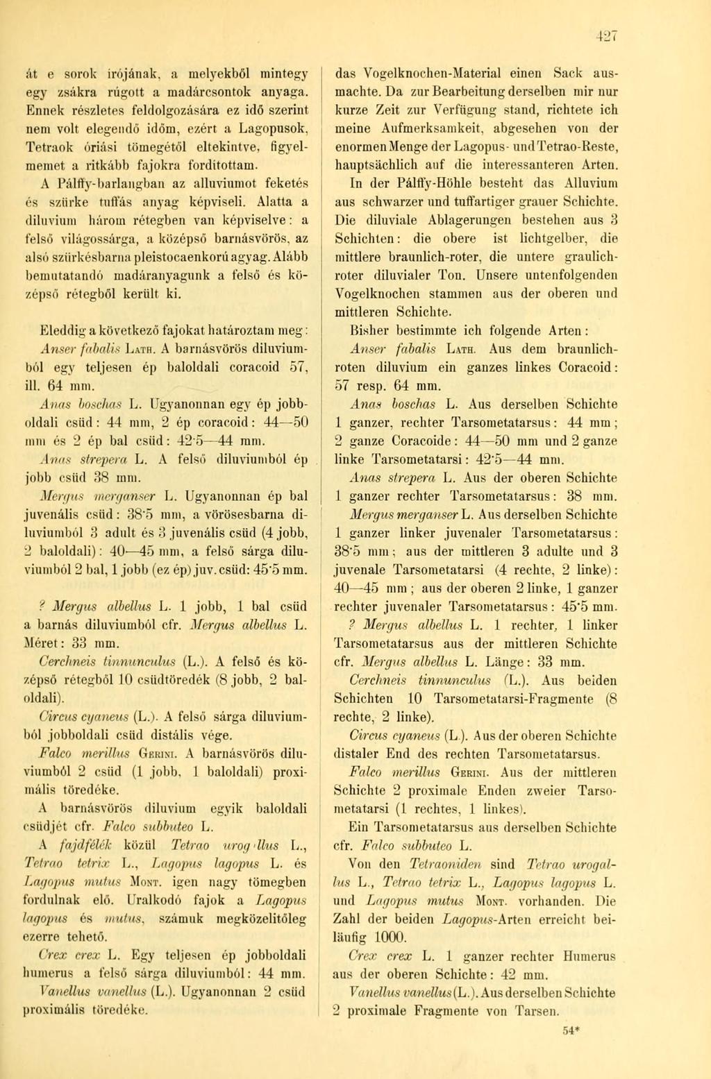 át e sorok Írójának, a melyekből mintegy egy zsákra rúgott a madárcsontok anyaga. Ennek részletes feldolgozására ez idő szerint nem volt elegendő időm, ezért a Lagopusok.