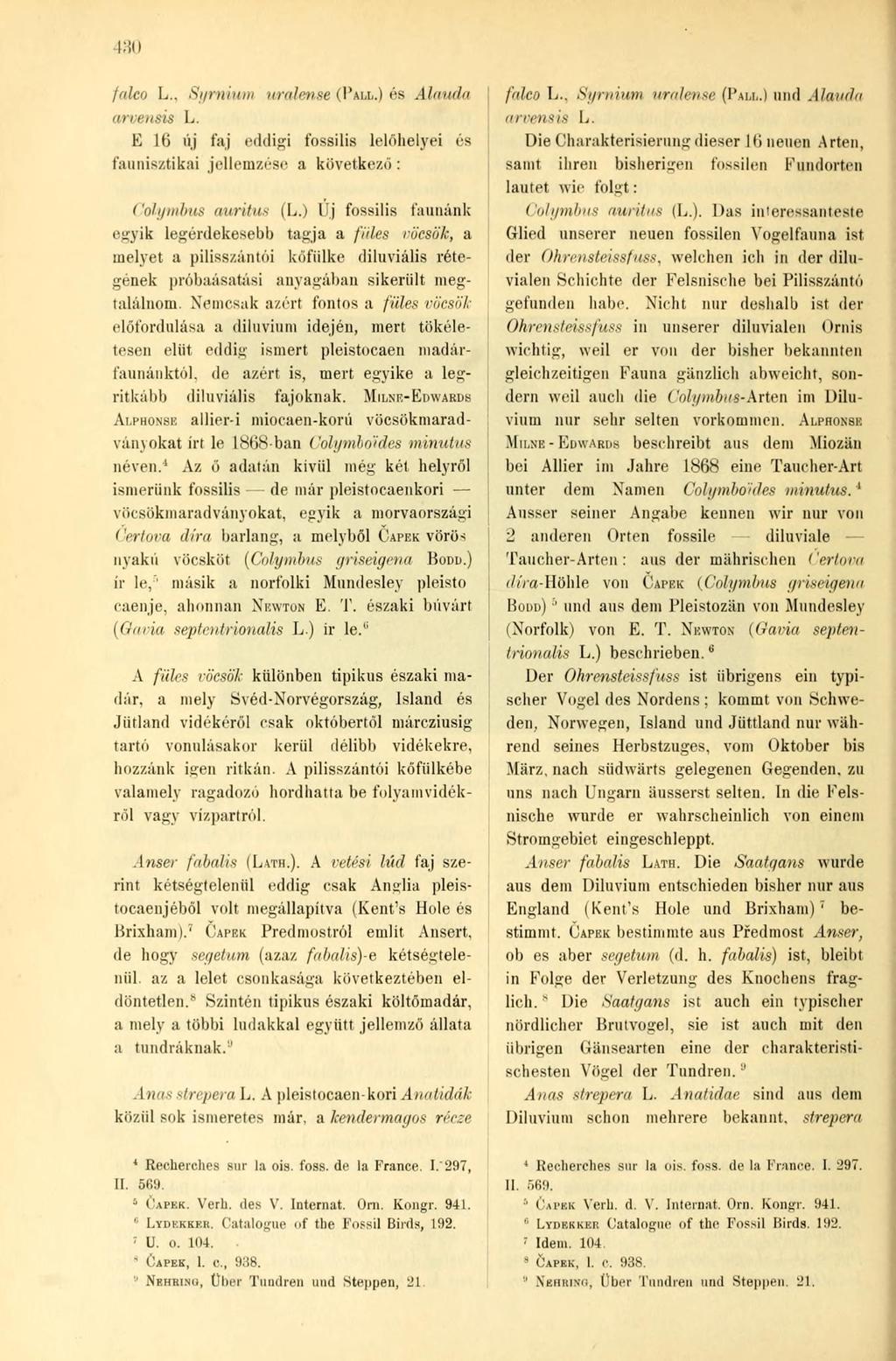 130 falco L... Sgrnium uralen.se (PALL.) és Alauda arvensis L. E 16 új faj eddigi fossilis lelőhelyei és faunisztikai jellemzése a következő: ('olt/minis auritus (L.