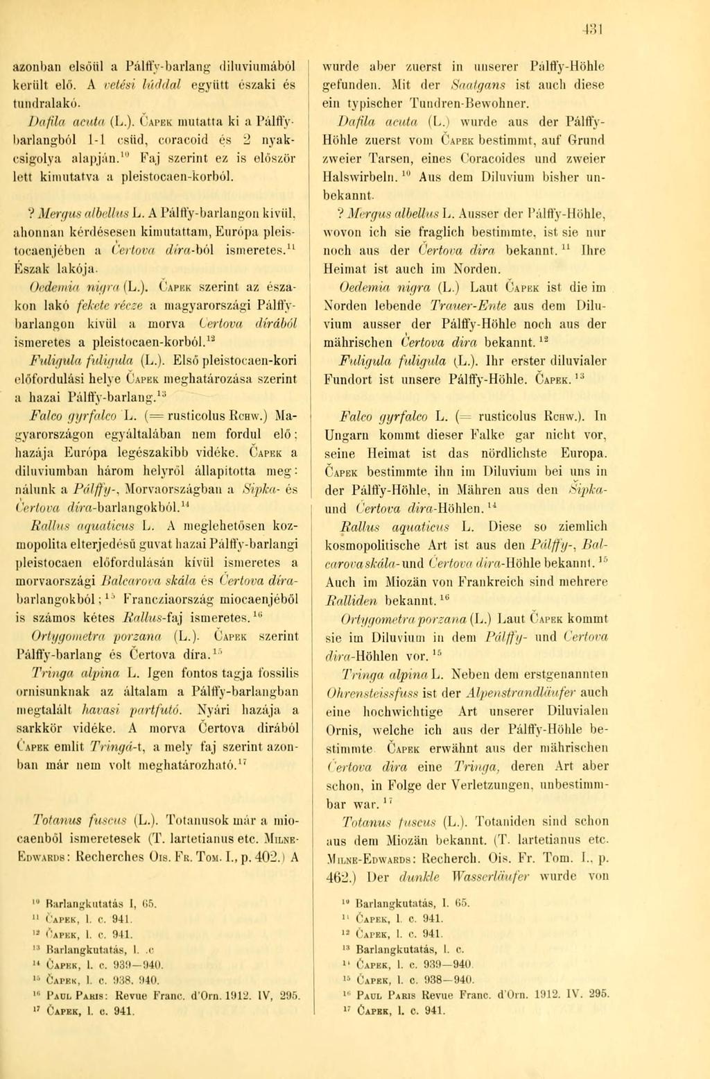 1 3 131 azonban elsőül a Pálffy-barlang diluviumából került elő. A vetési Iáddal együtt és/aki és tuhdralakó. Dafila acuta (L.).