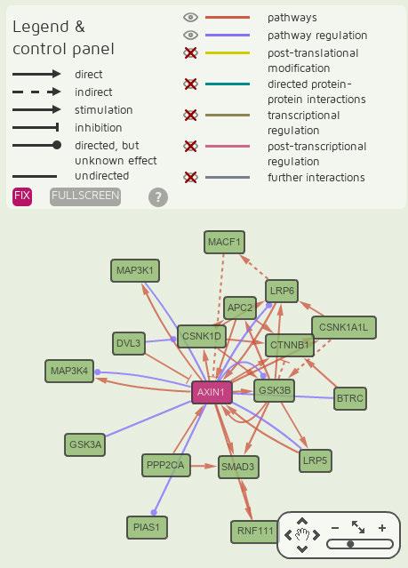 faktor, stb.); mirns-ek esetében a mirns szerkezetét ábrázoló diagram, mely a mirbase-ből származik (14. és 13. ábra).