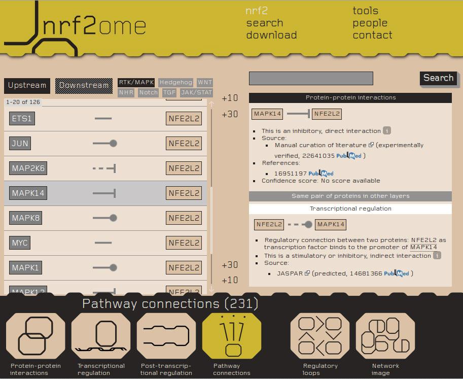 15. ábra. Az NRF2 kapcsolatait bemutató oldal. Az NRF2ome weboldalán egy külön nézet jeleníti meg az NRF2 kapcsolatait.