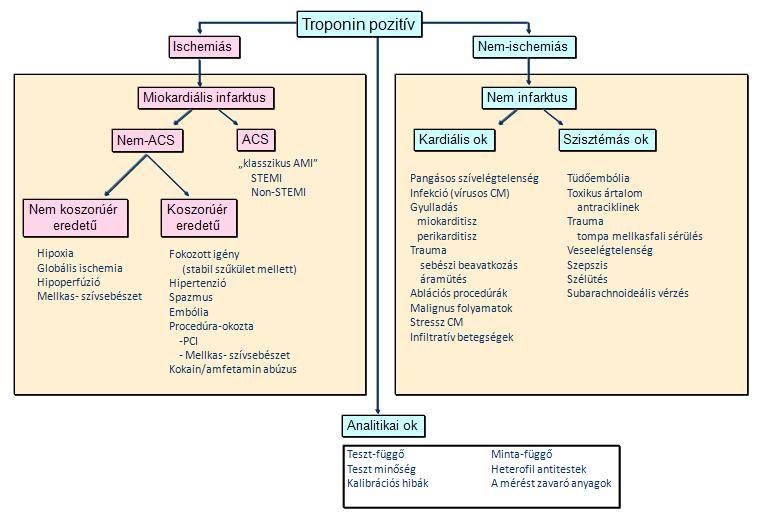 ACCF 2012 Expert Consensus Document (de összefügghet