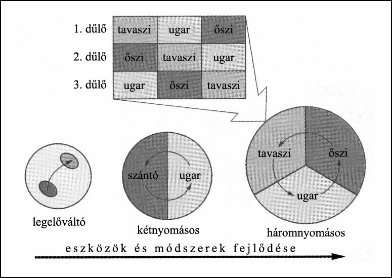 13. Zadatak je u svezi s poviješću gospodarstva Europe srednjeg vijeka.