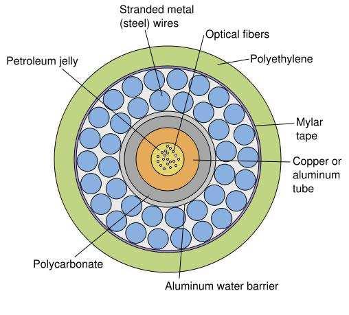 Fizikai szervezés 1 Polyethilén 2 Mylar