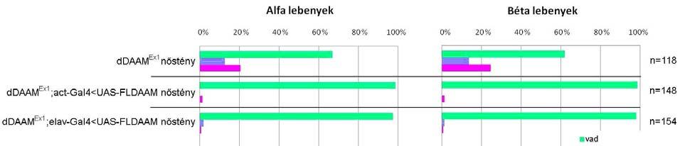 ddaam-nak szintén fontos szerepe van a fejlődés folyamán - ezért javul az állatok életképessége, emellett azonban az idegi fenotípus valamelyest romlik.