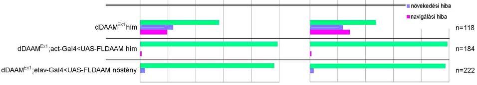 mértékben menekíthetők a teljes hosszúságú ddaam fehérje általános (Act-Gal4), ill. idegrendszer-specifikus (Elav-Gal4) túltermelésével (31.ábra).