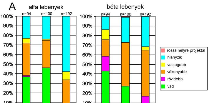 lebenyt látunk.