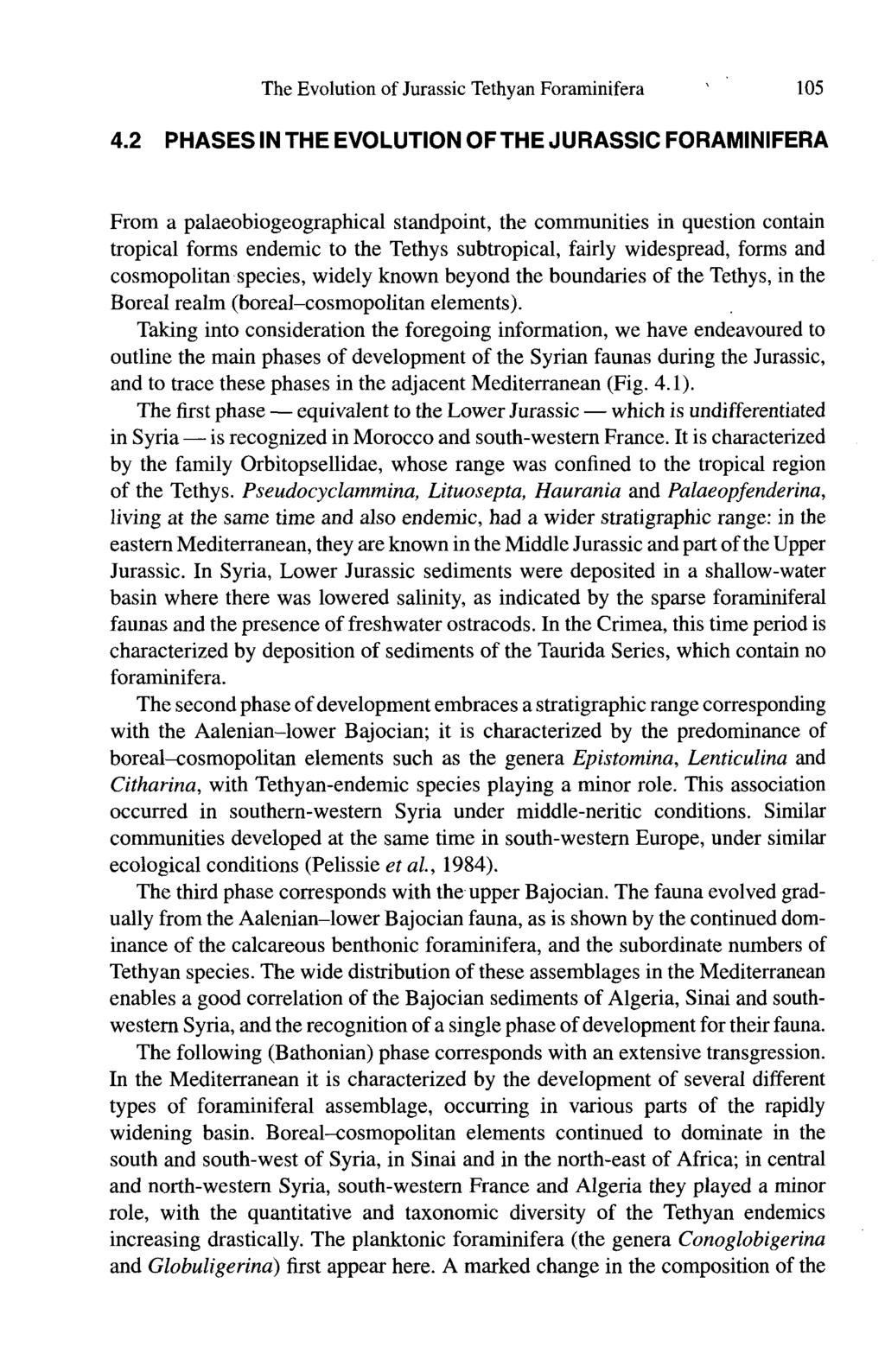 The Evolution of Jurassic Tethyan Foraminifera ' 105 4.