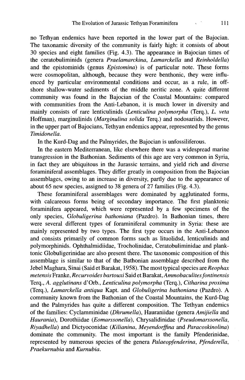 The Evolution of Jurassic Tethyan Foraminifera ' 111 no Tethyan endemics have been reported in the lower part of the Bajocian.