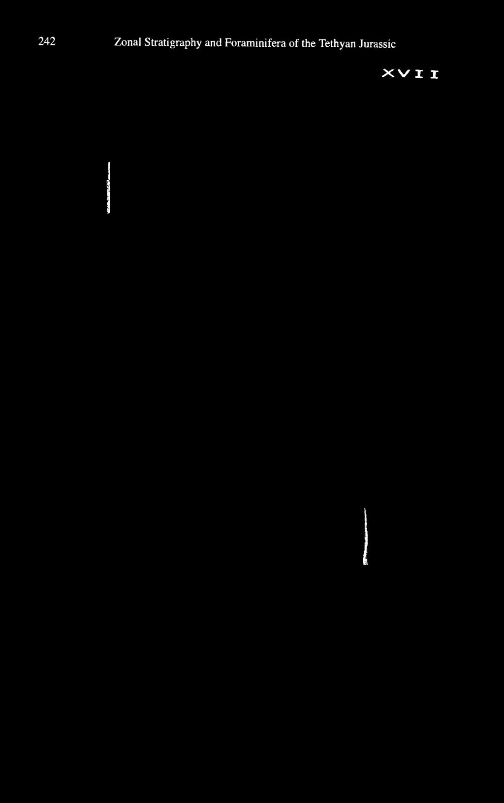 Foraminifera of