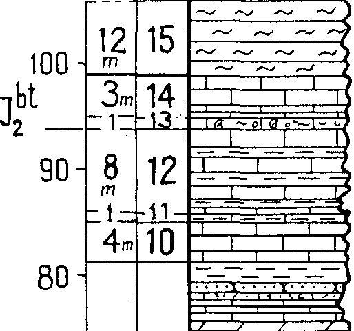 Description of the Jurassic Sections 59 Al-Zdeidi 93 1264 7f. 12B3 m /r ' 1262 nr, '1261 /f 12607/ 1259a 12596' 1259c J/ 1258a 7/ Z2586 7/ "1257a /257S J/ 12567/ 1255 1254.