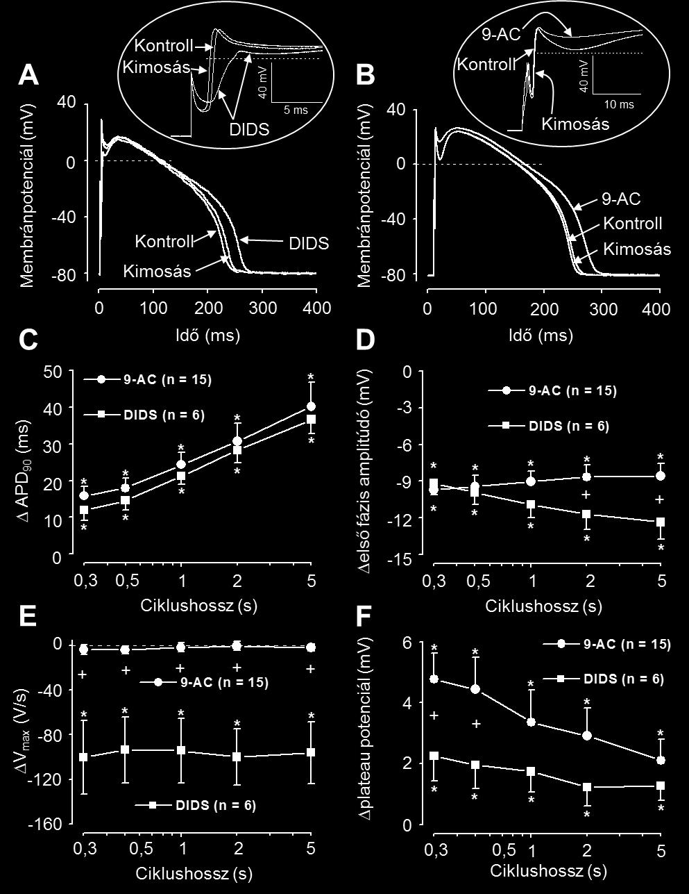 A 90%-os repolarizációnál mért akciós potenciál időtartam változás (C), első fázis repolarizáció amplitúdó változás (D), a felszálló szár maximális sebesség
