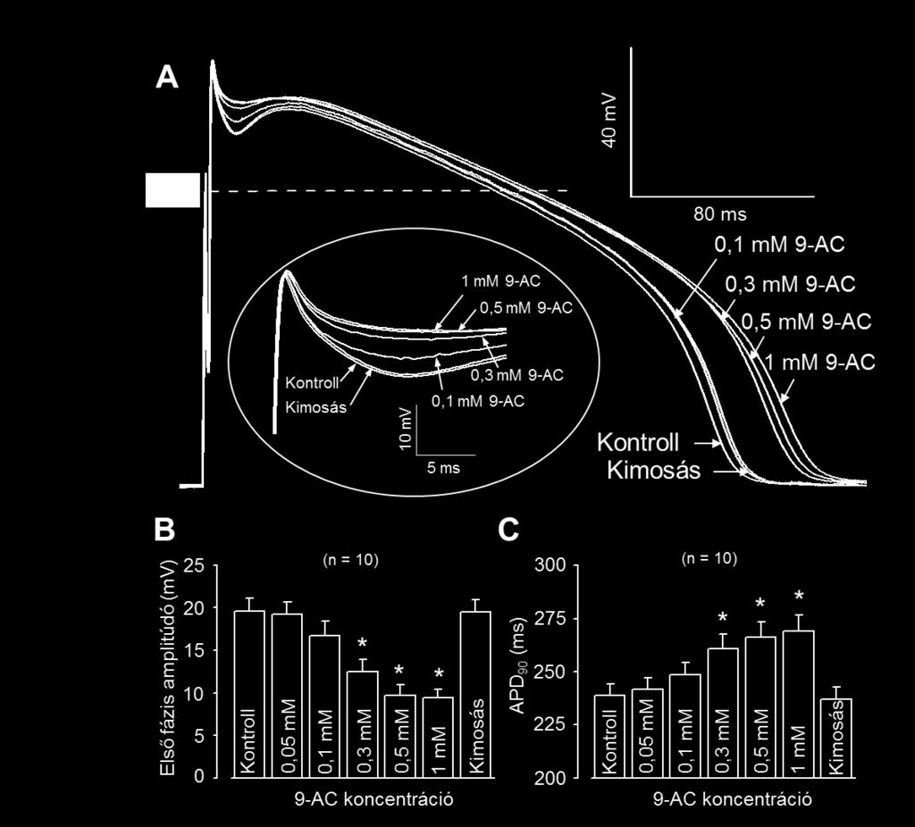 9-AC dózisok jelenlétében. A bekarikázott ábrabetét az akciós potenciál első 20 ms-ának nagyítása.