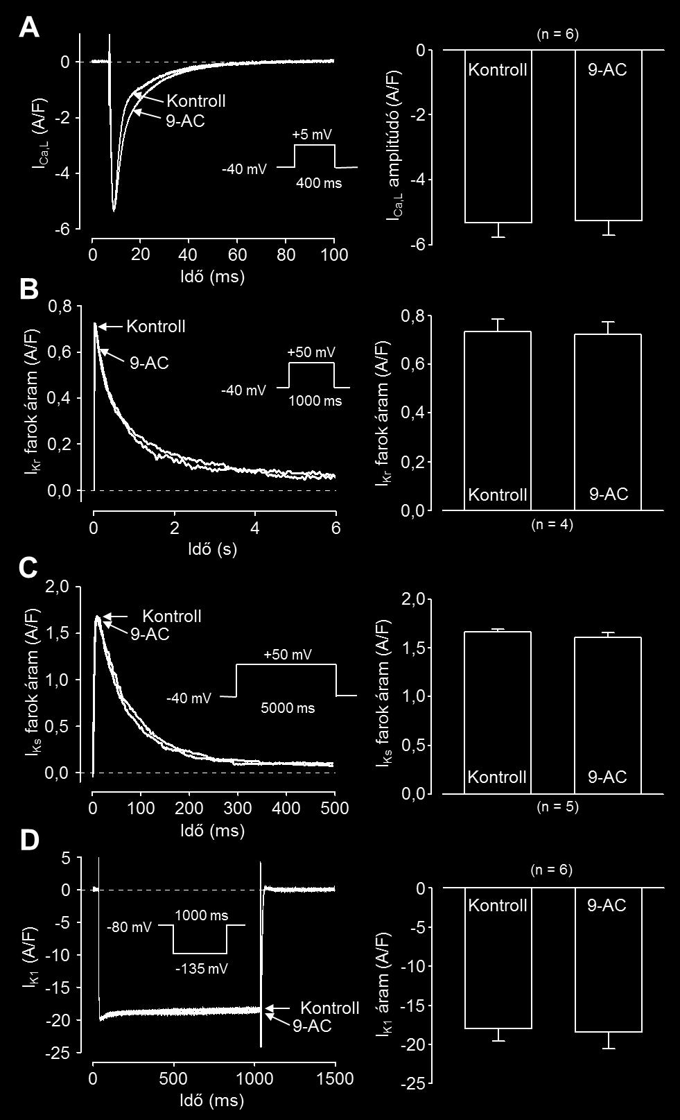 11. ábra 9-AC hatása az ionáramokra A kontroll, illetve 0,5 mmol/l 9-AC jelenlétében mért ICa,L (A), IKr (C), IKs (E) és IK1