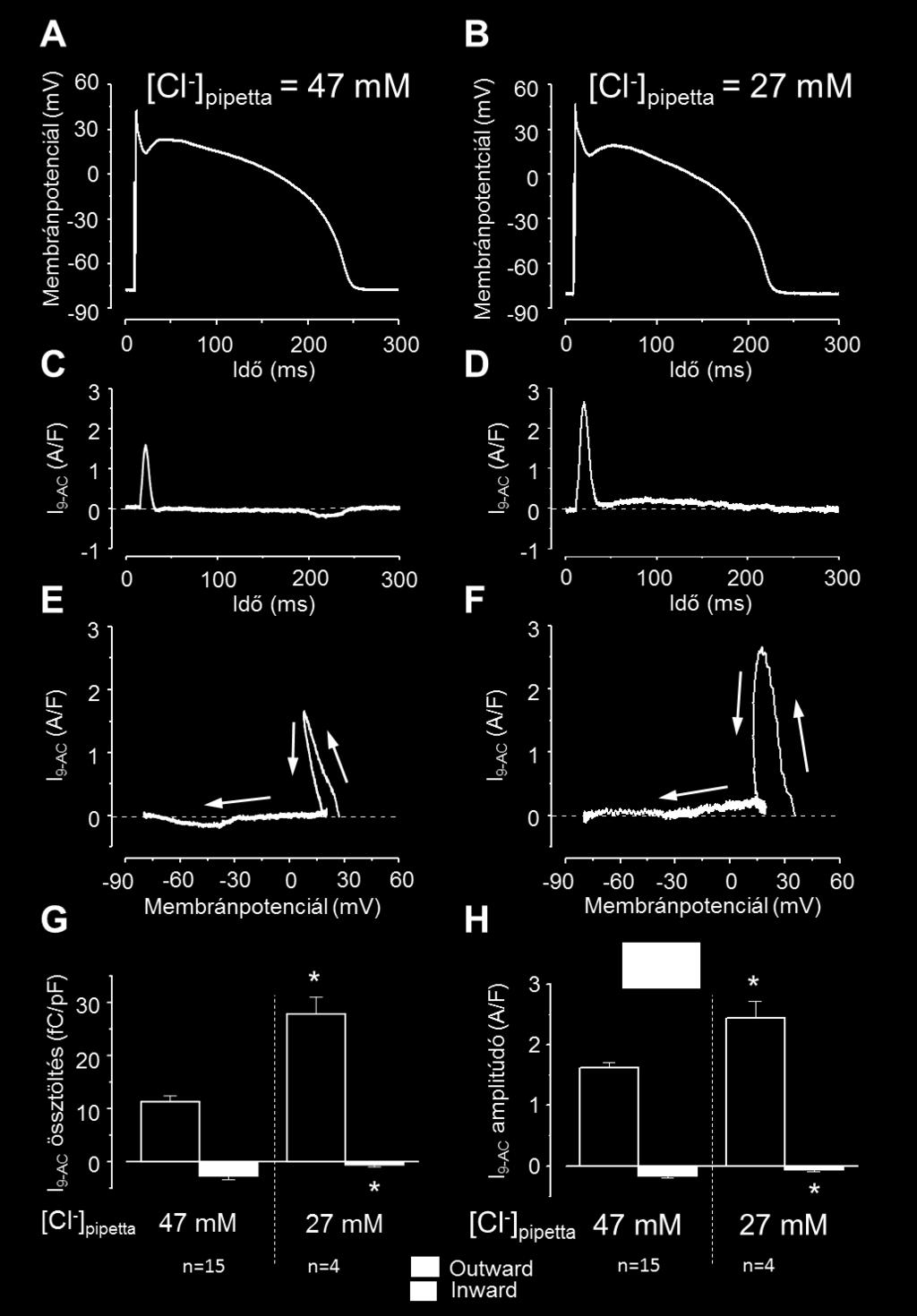 14. ábra Az intracelluláris Cl koncentráció megváltoztatásának hatása a ICl(Ca)-ra A pipetta oldata vagy 47 mmol/l (A, C, E) vagy csökkentett, 27 mmol/l (B, D, F) Cl -t tartalmazott.