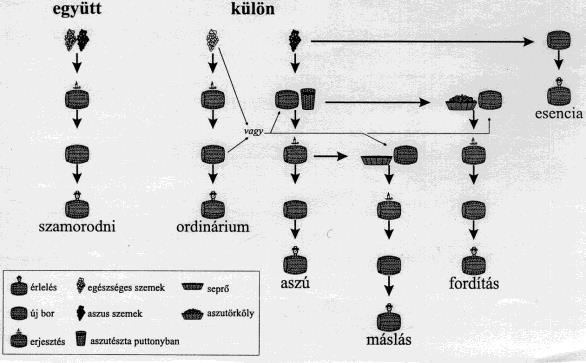 Méthode champenoise 1. Préselés 2. Musttisztítás 3. Erjesztés 4. Alapbor összeállítása 5. Tirázs likőr hozzáadása 6. Erjesztés palackban 7. Érlelés, autolízis 8. Lerázás 9.