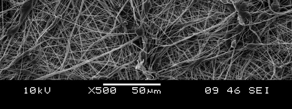 500x-os, illetve (b) 2500x-os nagyítással. 4.