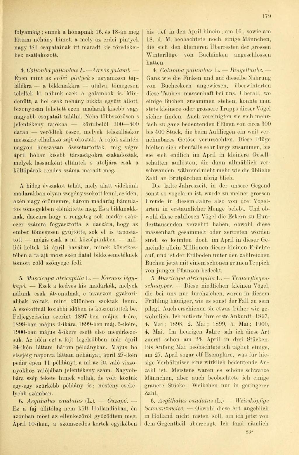 folyamáig; ennek a hónapnak 16. és 18-án még láttam néhány himet, a mely az erdei pintyek nagy téli csapatainak itt maradt kis töredékeihez csatlakozott. 4. Columba palumbus L. Orvos galamb.