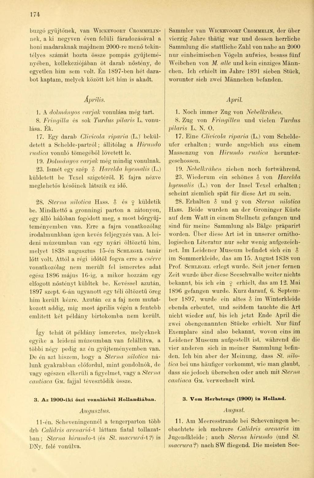 174 buzgó gyűjtőnek, van WICKEVOOKT CROMMELINnek, a ki negyven éven felüli fáradozásával a honi madaraknak majdnem 2000-re menő tekintélyes számát hozta össze pompás gyűjteményében, kollekcziójában
