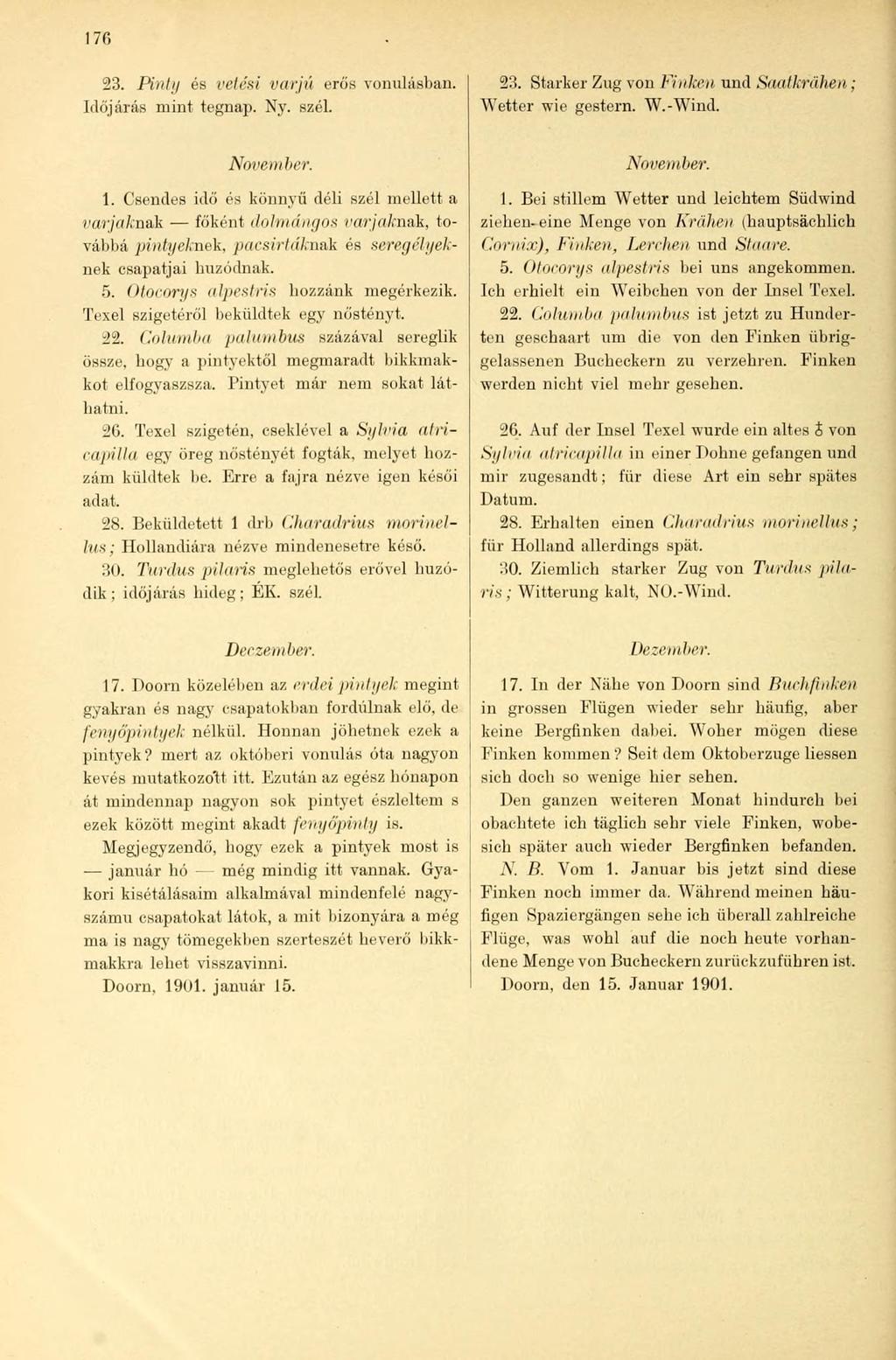 170 23. Pinty és vetési varjú erős vonulásban. Időjárás mint tegnap. Ny. szél. 23. Starker Zug von Finken und Saatkrähen Wetter wie gestern. W.-Wind. November. 1.