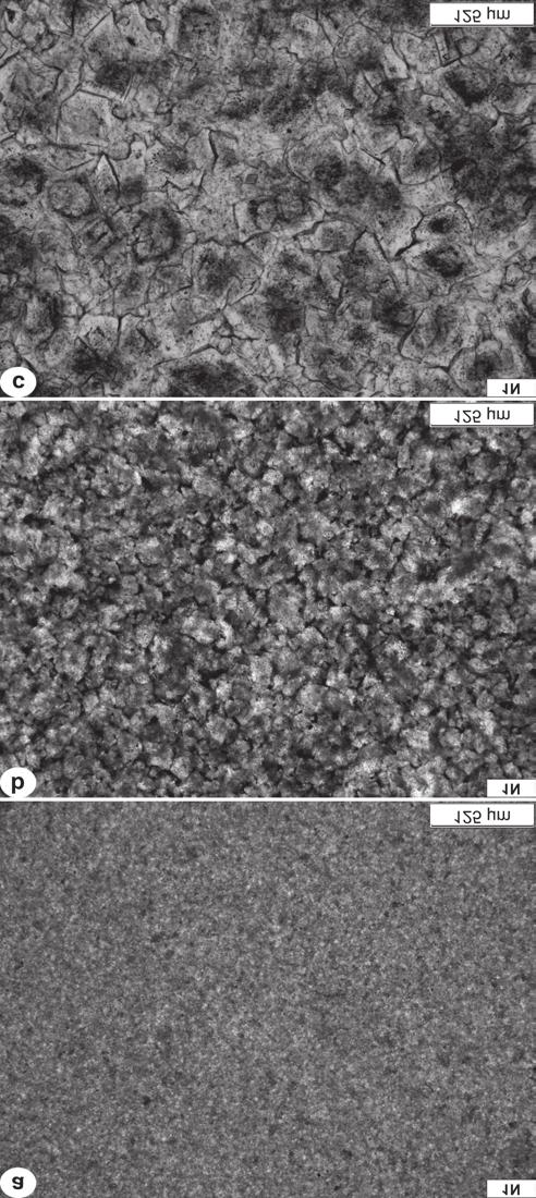 48 GARAGULY István et al.: Középső-triász dolomitok képződésének története és töréses deformációja a Szegedi-medence területén ványokban szegényebb kristályaik teszik felismerhetővé (II. tábla, 1.