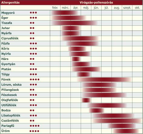 A 2008-es év országos parlagfű polleneloszlás térképét, valamint a különféle allergén növények