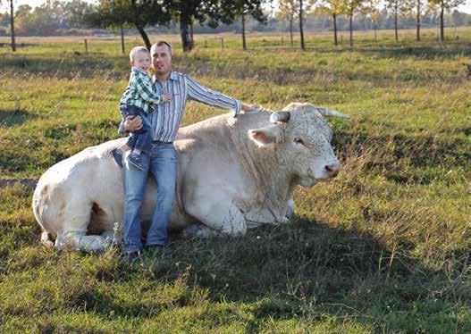 SZEPTEMBER 36. hét 31 1 2 3 4 5 Charolais Farm Kft.