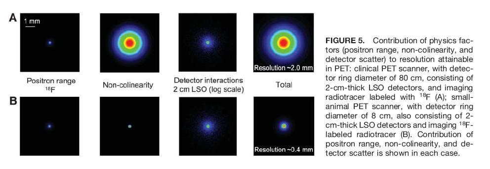 gamma rays ~ 180 degrees apart Line of response