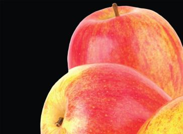 Dupla ágyas alma pálinka Az almapálinka valaha szinte minden falusi háztartásban felelhető volt.