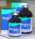 000,0 NE) Dexpanthenol E-vitamin 20,0 mg B1-vitamin 10,0 mg B2-vitamin 5,0 mg B6-vitamin 3,0 mg Szarvasmarha: 20-30ml Borjú 5-10ml Az injekció beadása szükség esetén 10-14 nap után megismételhető