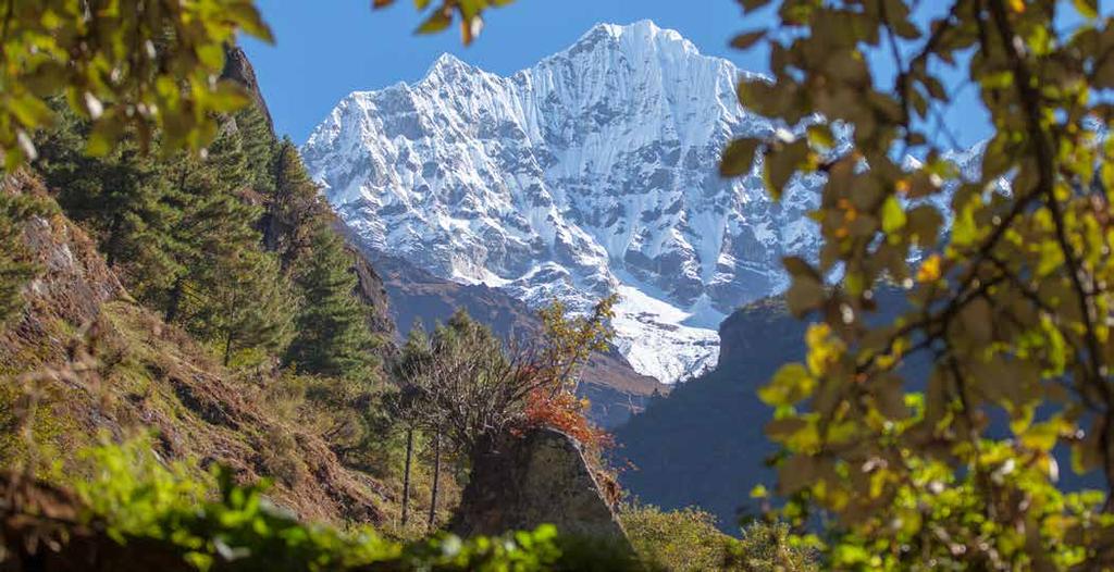 11 12 Himalája ájurvédikus teák RANJAKA Vérképzés támogatása & vaspótlás Terminalia arjuna javítja a máj működését és a metabolikus folyamatait Hozzájárul a vörösvértestek normális képződéséhez