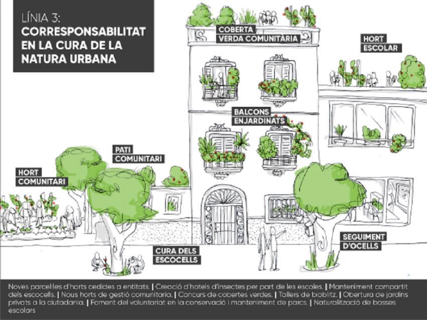 More greenery in the city for a better climate Most of Barcelona s cooling green space is situated in the hills to the west of the city, rather than in the streets below, which can result in a