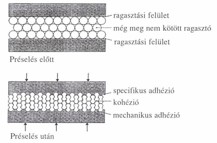 8. Faszerkezetek és szerkezeti faanyagok ragasztásának technológiai vonatkozásai Ragasztáselméleti kérdésekkel, továbbá a faalapú lemezek, a bútorgyártás stb.