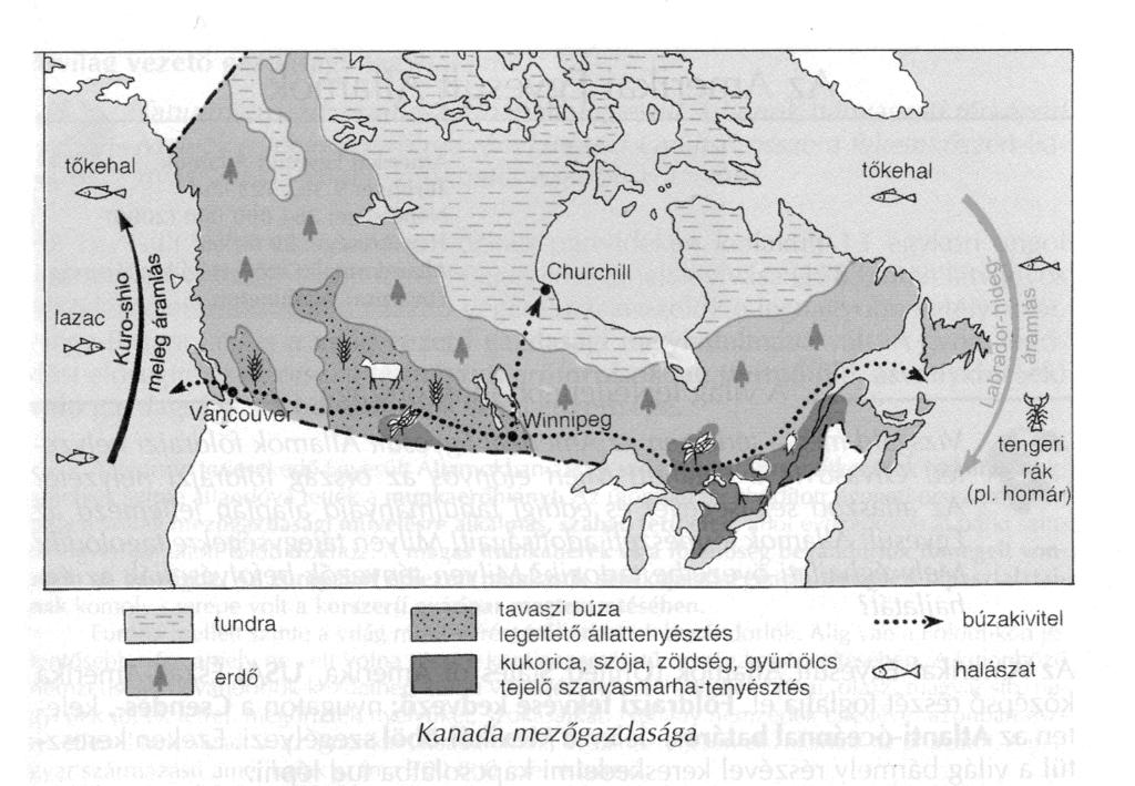 REGIONÁLIS FÖLDRAJZ Az ősföld és a pacifikus vonulat zuhatagos, bővizű folyói sok energiát képviselnek. Kanada villamosenergia-termelésének 2/3-át a vízerőművek adják.