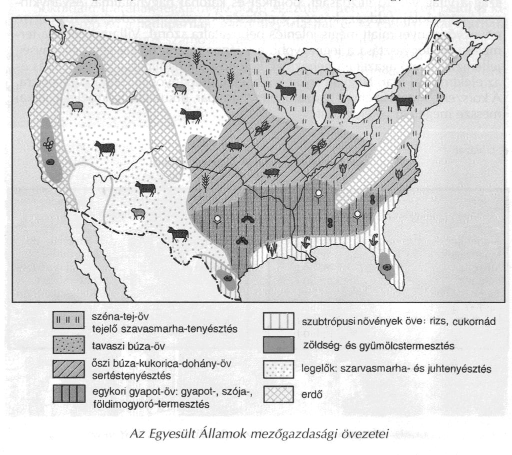 REGIONÁLIS FÖLDRAJZ Mezőgazdasága Az USA mezőgazdasága a lakosság alig 2%-át foglalkoztatja, ennek ellenére óriási értéket állít elő. Sokfélét és sokat termel.