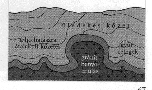 ÁLTALÁNOS TERMÉSZETFÖLDRAJZ Szerves üledékes kőzetek Élőlények maradványaiból jöttek létre. Pl.