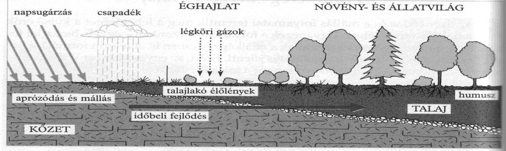 ÁLTALÁNOS TERMÉSZETFÖLDRAJZ Az éghajlat (hőmérséklet, csapadék, páratartalom) erősen befolyásolja a mállás sebességét. A domborzat jelentősen módosíthatja az éghajlati tényezőket.