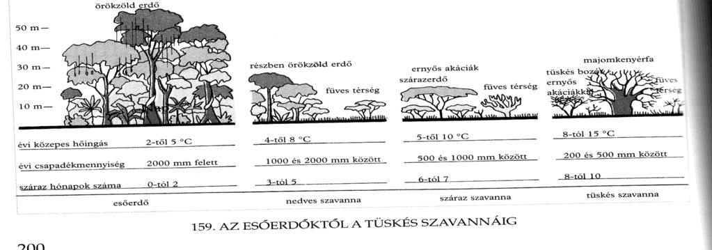 ÁLTALÁNOS TERMÉSZETFÖLDRAJZ A trópusi monszunvidék Az átmeneti öv éghajlatára emlékeztet A csapadék területi megoszlásában a domborzat játszsza a fő szerepet. (pl.