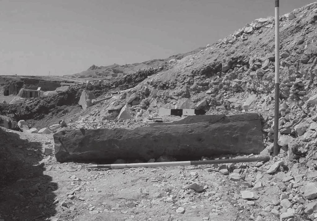 IX. évf. 2017/2. meretlen, a fedél nélküli koporsó a Nebszumenu homlokzatát magasító vályogtégla fal mögött került elő a törmelékből (22. kép). 22.
