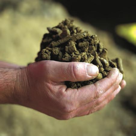 Megoldás falazatra Az agyagtól a falig 4 cm vastag 25-30 cm széles feltekert agyagszalagból állítottak elő. Kitették a napra, ahol megszáradt és készen is volt az ős-tégla.