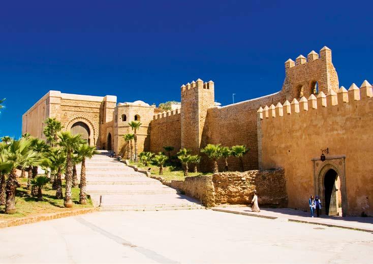 Ez a dinasztia csodálatos palotákat és kerteket hagyott Marrakeshre.