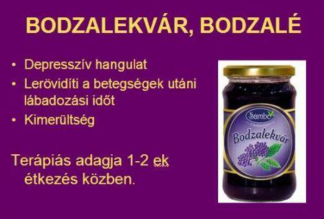 A friss bodzabogyóból gyógylekvárt (Roob sambuci) készítenek, amelyet meghűléskor erősítőként, izzasztóként használnak Ne