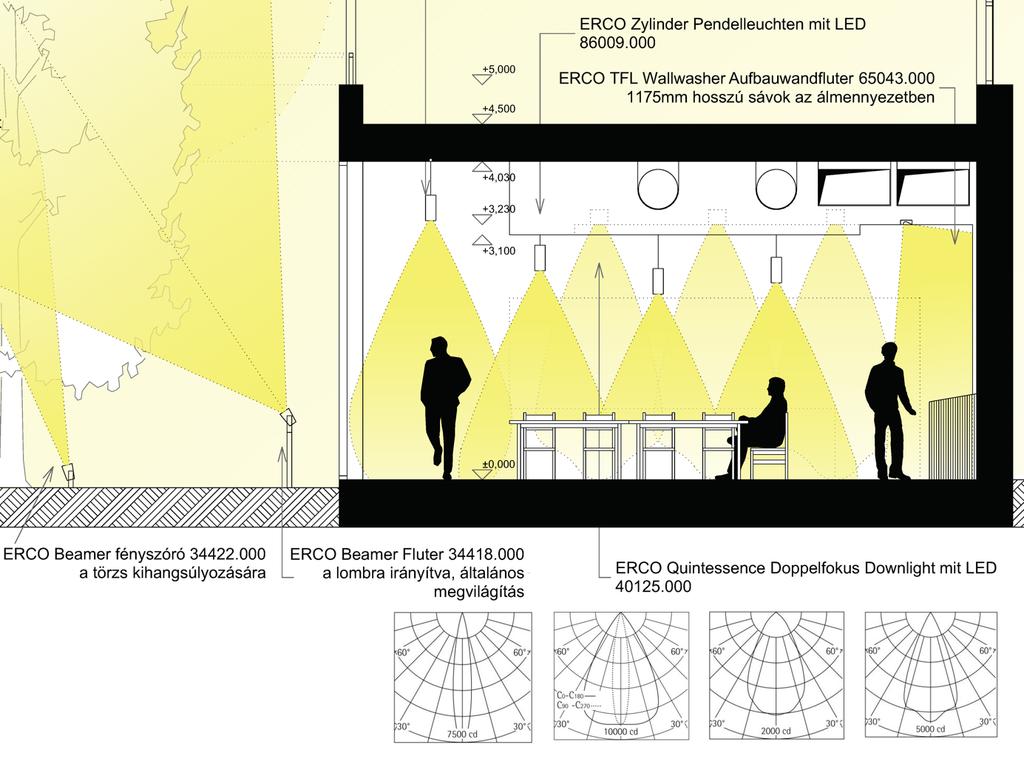 , Építészmérnöki Kar ÉPÜLETEK VILÁGÍTÁSA Komplex 2 tervezési segédlet Metszet lámpatestek, fényforrások és fénysűrűség eloszlási diagrammok ábrázolásával (Birges