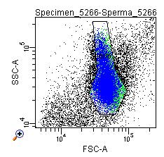 Acridin Orange emisszió 500 526 nm-en (dupla szálú DNS) DNS fragmentáció és