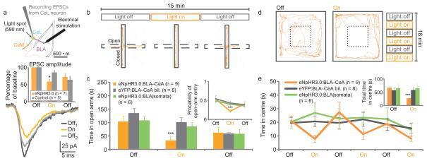 A szorongás idegrendszeri mechanizmusai: makrohálózatok, mikrohálózatok Selective inhibition of BLA terminals in the CeA induces an acute and reversible increase in anxiety(a e) Mice were